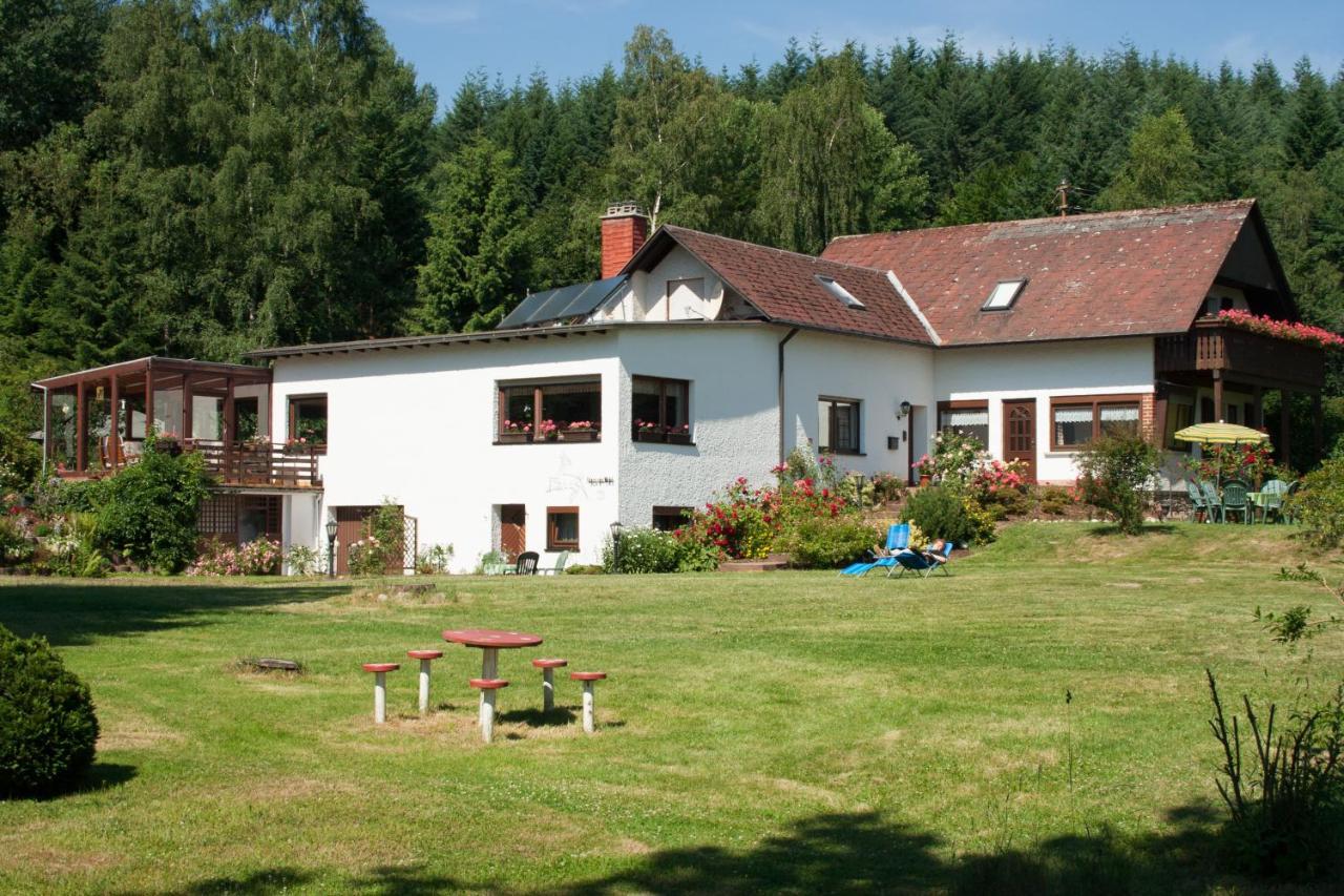 Haus Am Wald - Urlaub Am Nationalpark Apartment Langweiler  Exterior photo